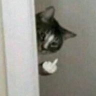MìnhNè