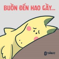 leannguyen13
