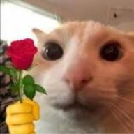 tiennguyenthcstv