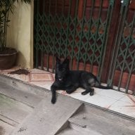 Nhìn thấu hồng trần