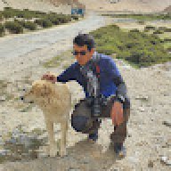 trangia.s