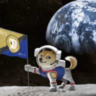 chienqn2