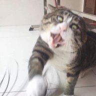 donnyho