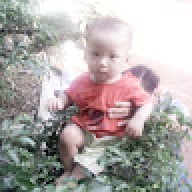 truongdz098