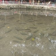 NinhKhuyet