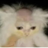 congchuawibu123