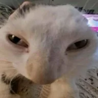 MinhBadGuy