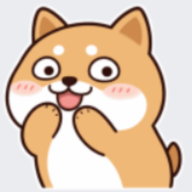 quynhnguyendtcn