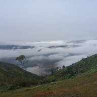 GaoNhai