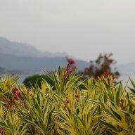 nguyễn duy tân 97