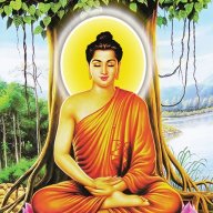 Ăn chay trường