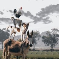BeanGTA