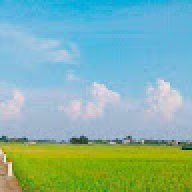 xuanthinh2121
