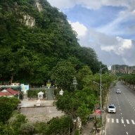 Vien155