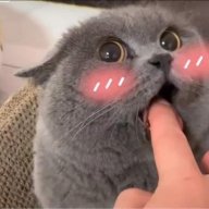 Minki21