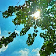 OpenSkyT