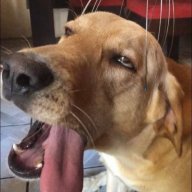 hnnhnn