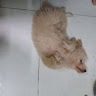 nỗi niềm cấp 3
