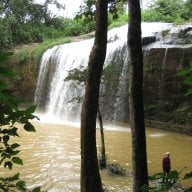 gauthachkim