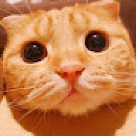 tunglethanh99