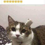 hieulecp