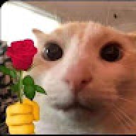 trungvjppro123
