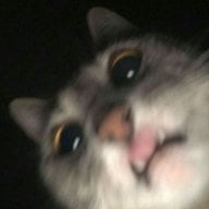 hpdong