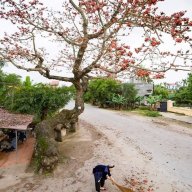vinh1923