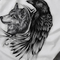 A Lone wolf