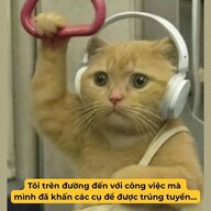 annnnn999
