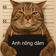 Anhnongdam