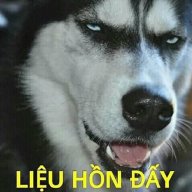 Huanhoahong999