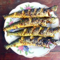 cá chuồn