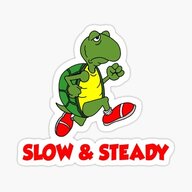 turtle-runner