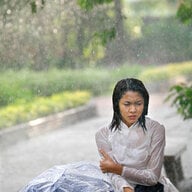Bao Triển