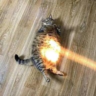SolarGuardian