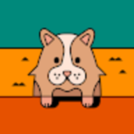 minhduc54
