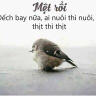 BeMay_98