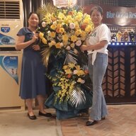 hòa lợi