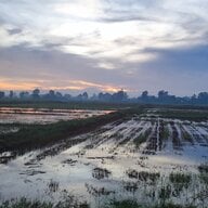 thutran0909