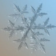 snowee