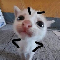 gintaku123123