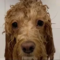 vuvjetz