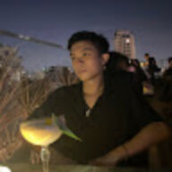 trường vũ 842000