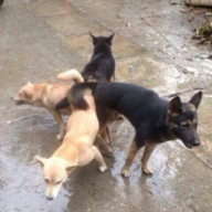 RulesViolation