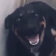 Fong đòn đánh