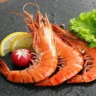 đầu tôm