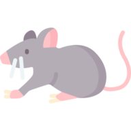 Benjii