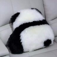 3xxx434