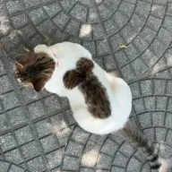 Cậu bé thiểu năng 36